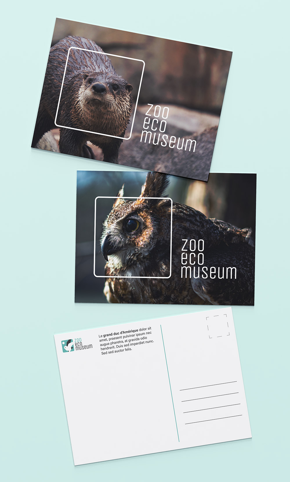 Zoo Ecomuseum - Cartes postales